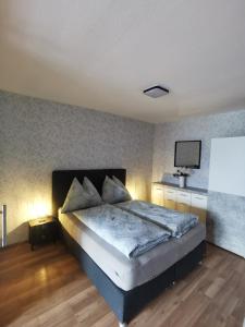 - une chambre avec un lit et une télévision murale dans l'établissement Apartment Renata Irdning Pichlarn, à Aigen im Ennstal
