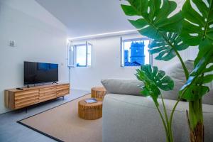 - un salon avec un canapé et une télévision dans l'établissement Apartamentos Atia Catedral, à Saint-Jacques-de-Compostelle