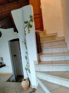 ブッジェッルにあるCasa Armasの花瓶が並ぶ家の階段