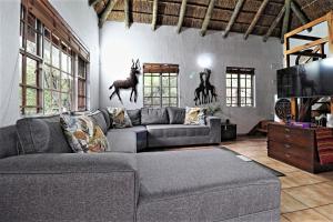 Sala de estar con sofá y estatuas de caballo en la pared en Ostrich Cottage, en Marloth Park