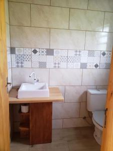een badkamer met een wastafel en een toilet bij Cabana Azinheira in Urubici