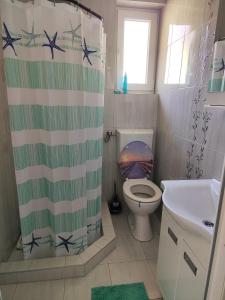 a bathroom with a shower curtain with a toilet and a sink at Vikendica Rada in Loznica