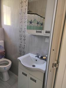 a bathroom with a sink and a toilet at Vikendica Rada in Loznica