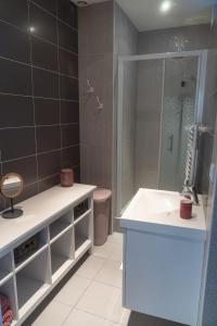 uma casa de banho com um lavatório, um chuveiro e um WC. em Le BAC FLEURI em Trouville-sur-Mer