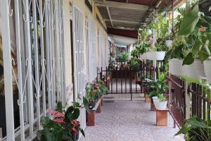 een hal met potplanten aan de zijkant van een gebouw bij Hermosa casa familiar in La Tebaida