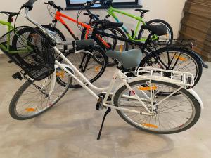 Jazda na bicykli v okolí ubytovania Dolina Dunajca