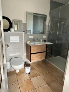 une salle de bain avec toilettes, lavabo et douche dans l'établissement Petite maison plein pied jardin, à Soorts-Hossegor 9 autres photos