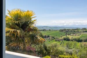 una palmera en un campo con montañas en el fondo en B&B Green Eyes, en Civitanova Marche