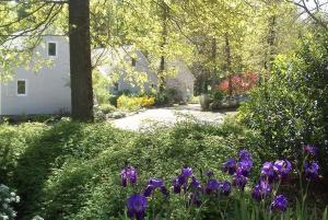 un jardín con flores púrpuras frente a una casa en Les Chalets de SAUMUR, Piscine & Parc boisé, 100m du CadreNoir en Saumur