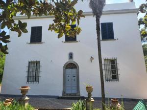 een wit huis met een blauwe deur en twee ramen bij Villa con ampio giardino a due passi dal mare in SantʼAnna