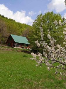 a tree with white flowers in front of a cabin at Naša kuća-Veruša in Veruša