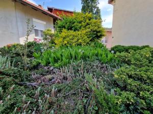 Gallery image of Gorica-Bistrica in Bistrica