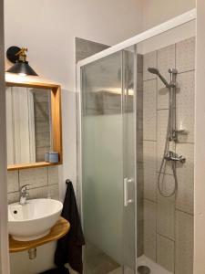 La salle de bains est pourvue d'un lavabo et d'une douche en verre. dans l'établissement studio-ville médievale-charmant, à Crest