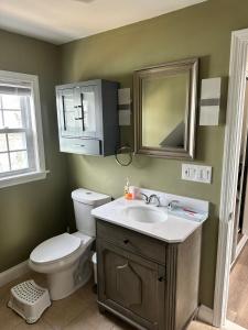 een badkamer met een toilet, een wastafel en een spiegel bij Franklin Park nearby in Boston