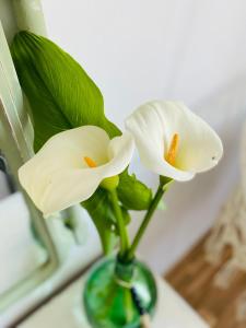 duas flores brancas num vaso sobre uma mesa em Bodega Sibeiro em Chantada