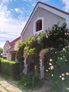 Bangunan di mana terletaknya homestay
