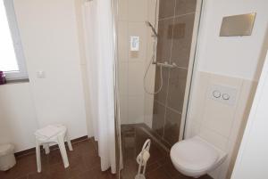 a bathroom with a shower and a toilet at de Rootbost in Neufeld +5 photos