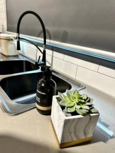 a sink with a bottle of soap and a potted plant at Spacious modern family home in Pakenham