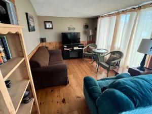 ein Wohnzimmer mit einem Sofa und einem TV in der Unterkunft The “Bear” waterfront cabin in Muskoka in Utterson