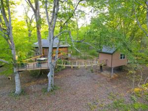 a cabin in the middle of the woods at Greenbrier Beechhouse Luxury Treehouse in Greenbrier