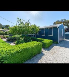 a blue building with bushes in front of it at Cosy Eildon Getaway in Eildon