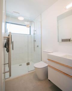 a bathroom with a shower and a toilet and a sink at Abodo Alpine Eco Villa (Spa) in Cardrona