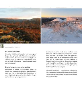Fotografie z fotogalerie ubytování 14 - Fulufjellets nasjonalparker - Natur-, dyre- og fugleopplevelser v destinaci Trysil