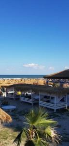 a beach with a bunch of umbrellas and the ocean at Complex Astoria mamaia nord in Mamaia Nord