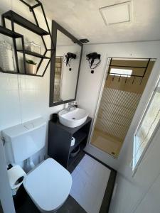 a small bathroom with a toilet and a sink at DM mobile home in Jezera