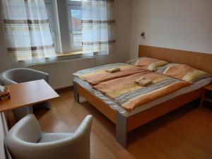 德辛Hotel Děčín的一间卧室，配有一张床、一张桌子和一把椅子