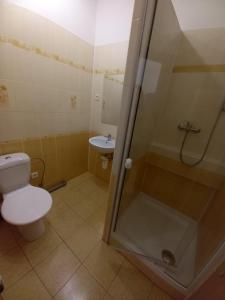Hotel Děčín的一间浴室