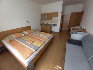 Hotel Děčín客房内的一张或多张床位