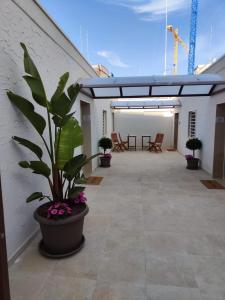 a large potted plant sitting on a patio at Lovin Puglia Vacation in Bari