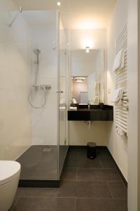 a bathroom with a shower and a toilet and a sink at Palmbräu Altstadt Appartments in Heidelberg +54 photos