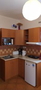 Kuchyň nebo kuchyňský kout v ubytování Apartments Anna