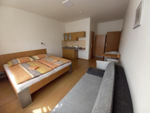 Hotel Děčín客房内的一张或多张床位