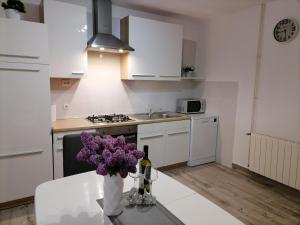 Kuchyň nebo kuchyňský kout v ubytování Apartman Nino