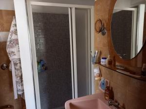 uma casa de banho com um chuveiro, um lavatório e um espelho. em Appartamento a San Vito di Cadore em San Vito di Cadore