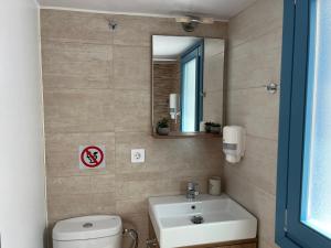 a bathroom with a sink and a mirror and a toilet at Aleminas Rooms in Symi