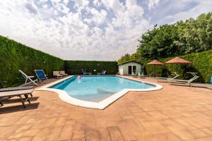 a large swimming pool with chairs and a table at Agriturismo Ca' Marcello in Mira