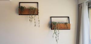 trois miroirs sur un mur avec des plantes en eux dans l'établissement L'Odyssée provençale, un duplex de charme de 2 chambres au pied du village médiéval de Bormes-les-Mimosas, offrant des prestations haut de gamme et une superbe vue sur le Massif des Maures, à Bormes-les-Mimosas