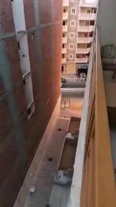 una vista aérea de una habitación vacía en un edificio en القاهره, en El-Sa`âida