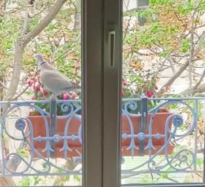 Balkon lub taras w obiekcie A deux pas d'Avignon
