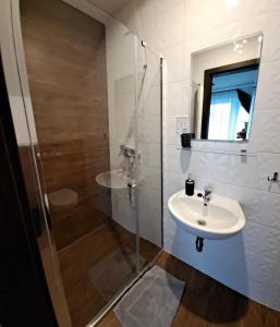 a bathroom with a sink and a shower at D.W. JULIA in Władysławowo