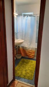 baño con lavabo y cortina de ducha en Bubu Apartament, en Petroşani