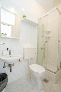 ein Bad mit einem WC, einer Dusche und einem Waschbecken in der Unterkunft Apartments and rooms LJUBICA in Lun