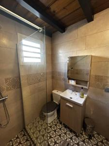 a bathroom with a shower and a toilet and a sink at aux 4 saisons maison l'opaline in Le Tampon