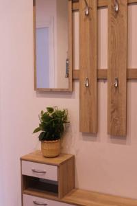 baño con armarios de madera y maceta en Cinque Terre Boito Apartament en La Spezia