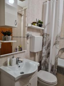 ein Bad mit einem Waschbecken, einem WC und einer Dusche in der Unterkunft Apartman Centar in Kraljevo