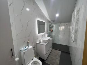 La salle de bains est pourvue de toilettes et d'un lavabo. dans l'établissement Immanuel Villa, à Ptghni